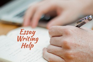 Essay Writing Help