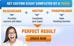 Custom essay writing service