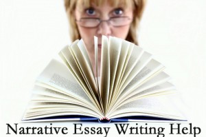 Essay writing help