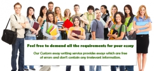 Custom Essay Writing Services