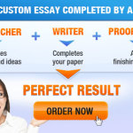 Best Custom Essay Writing Services
